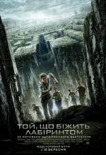The Maze Runner